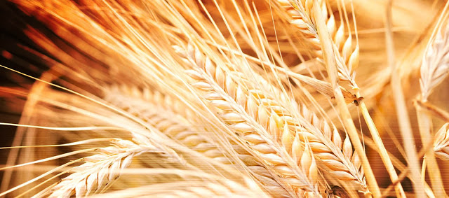 The Resurrection and The Life