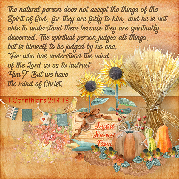 Spiritually Discerned