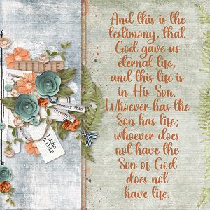 This Life is in His Son