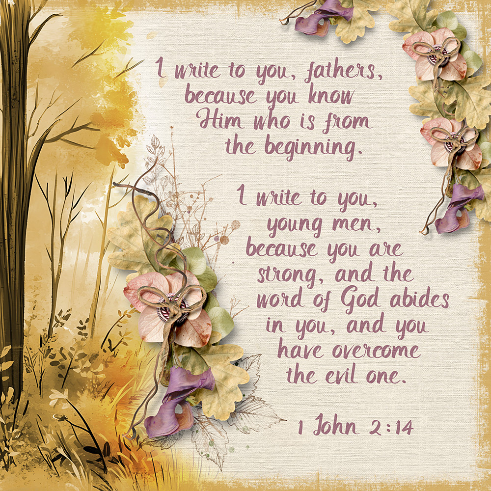 Overcome the Evil One